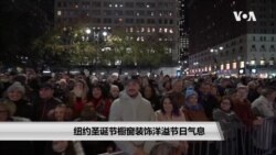 纽约圣诞节橱窗装饰洋溢节日气息 纽约圣诞节橱窗装饰洋溢节日气息