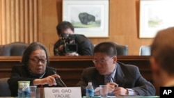 资料照:中国著名艾滋病维权人士高耀洁(左)2009年12月在美国国会作证。