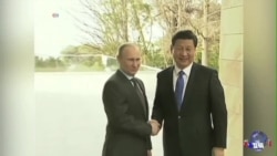 普京访华求支持 中国左右为难