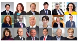 [对华政策跨国议会联盟]包括英国、美国、日本、澳大利亚、加拿大、德国、挪威、瑞典八个创始国加欧盟议会代表(从上往下)第一排(从左到右)哈斯帝(澳大利亚), 克琪恩(澳大利亚), 考特莱尔(加拿大), 吉尼耶斯(加拿大), 布提考夫尔(欧盟议会), 雷克斯蔓(欧盟议会)；第二排(从左到右)鲍泽(德国), 布兰德(德国), 中谷元 (日本), 山尾志樱里(日本), 拉恩(瑞典), 迈尔姆(瑞典)；第三排(从左到右)肯妮迪(英国), 邓肯-史密斯(英国), 梅南德兹(美国), 鲁比奥(美国), 泰兹奈尔(挪威)，格兰德(挪威）(IPAC照片)