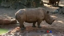 ဒီသီတင်းပတ်အာရှစီးပွားရေး ဒီသီတင်းပတ်အာရှစီးပွားရေး