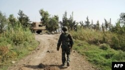 叙利亚官方通讯社发布的照片显示,叙利亚政府军士兵2015年10月15日走在哈马的西北部乡村的一条路上。