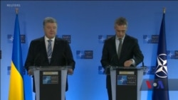 Генсек НАТО: Альянс передає українським збройним силам комунікаційне обладнання. Відео
