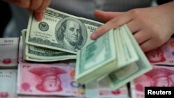 资料照:一名银行职员在安徽省一家银行里点数美元。