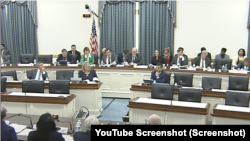 US House hearing on Covid-19 origin. (screenshot)