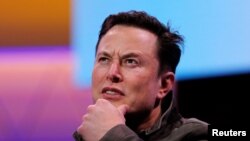 特斯拉总裁伊隆·马斯克(2019年6月13日)