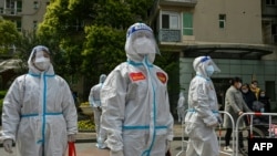 在上海的静安区,工作人员和自愿者正在一座小区内检查。该小区居民正在家中进行自我检测。