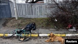 在俄军撤出后,乌克兰首都郊外布查镇的大街上可以看到一些被遗弃的平民尸体。(路透社2022年4月3日)