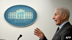 资料照片:即将卸任的拜登总统首席医学顾问和美国首席传染病学专家的弗契医生在一次白宫例行记者会上讲话。(2022年11月22日)