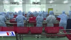 Xuất khẩu Việt Nam sang EU tăng kỷ lục nhờ EVFTA  Xuất khẩu Việt Nam sang EU tăng kỷ lục nhờ EVFTA