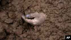 俄军从乌克兰基辅地区布查镇撤走后,一具尸体的手露在集体坟墓的外面。(2022年4月3日)