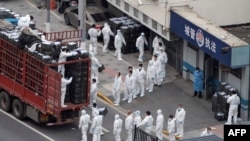 上海封城,身穿防护服的人将车上食品卸下,发送给上海居民。(2022年4月5日)