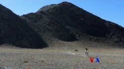 မွန်ဂိုလီယား လင်းယုန်ပွဲတော် မွန်ဂိုလီယား လင်းယုန်ပွဲတော်