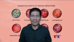 အိမ်ထောင်မပြုခင် လိင်ကျန်းမာရေးစစ်ဆေး “လူထုနဲ့ ကျန်းမာရေး”
 အိမ်ထောင်မပြုခင် လိင်ကျန်းမာရေးစစ်ဆေး “လူထုနဲ့ ကျန်းမာရေး”