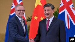 资料图片:中国领导人习近平与澳大利亚总理阿尔巴尼斯在巴厘岛出席G20峰会期间举行会晤。(2022年11月15日)