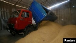 资料照片:乌克兰农民正在装运收割的大麦(2016年7月14日)