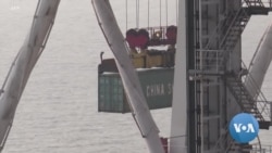 China, COVID-19, Lunar New Year: Perfect Storm for Supply Chain Delays China, COVID-19, Lunar New Year: Perfect Storm for Supply Chain Delays