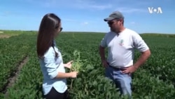 美国农民: 我为什么支持贸易战(上)