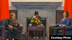 台湾总统蔡英文2018年5月会见USCC的白嘉玲(台湾总统府照片)