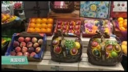 VOA连线(易林):前农业谈判代表肯定川普政府的贸易政策