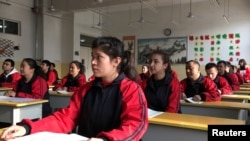 中国政府组织的对新疆喀什的参访中喀什居民在职业教育中心学习中文。(2019年1月4日)