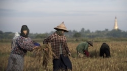 စားနပ်ရိက္ခာ မလုံလောက်တဲ့ ကမ္ဘာ့ (၁၀) နိုင်ငံမှာ မြန်မာပါဝင် စားနပ်ရိက္ခာ မလုံလောက်တဲ့ ကမ္ဘာ့ (၁၀) နိုင်ငံမှာ မြန်မာပါဝင်