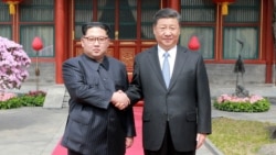 焦点对话:习、金握手,世界是福还是祸? 焦点对话:习、金握手,世界是福还是祸?