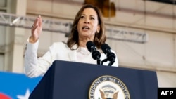 资料照片:美国副总统兼民主党总统候选人卡玛拉·哈里斯在密歇根州举行的竞选集会上发表讲话。(2024年8月7日)