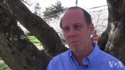 马里兰樱花美景引来国际观光客 马里兰樱花美景引来国际观光客