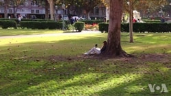 美国大学教授学生如何防范校园安全问题 美国大学教授学生如何防范校园安全问题