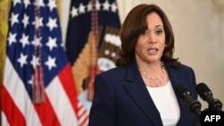 资料照片:美国副总统卡马拉·哈里斯。(2023年8月29日)