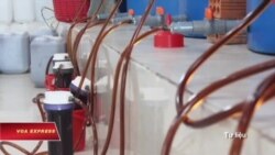 Việt Nam phạt hàng chục báo vì đưa tin sai về nước mắm Việt Nam phạt hàng chục báo vì đưa tin sai về nước mắm