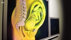 လုံခြုံရေးနဲ့ ဆေးပညာအတွက် သုံးဖက်မြင်ပုံရိပ် Hologram နည်းပညာ လုံခြုံရေးနဲ့ ဆေးပညာအတွက် သုံးဖက်မြင်ပုံရိပ် Hologram နည်းပညာ