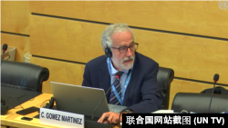 联合国人权事务委员会委员卡洛斯·戈麦斯·马丁内斯 (Carlos Gomez Martinez)2022年7月6日向香港特区政府代表团提问。(联合国网站截图)