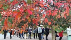 အမေရိကန်နိုင်ငံသား မြန်မာမဲဆန္ဒရှင်များရဲ့ သမ္မတ ရွေးချယ်မှု (မဆုမွန်) အမေရိကန်နိုင်ငံသား မြန်မာမဲဆန္ဒရှင်များရဲ့ သမ္မတ ရွေးချယ်မှု (မဆုမွန်)