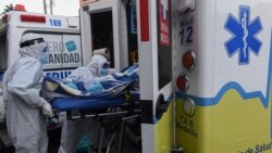 ကိုဗစ်ကြောင့် ကမ္ဘာတဝန်းသေဆုံးသူ ၈ သိန်းကျော်သွားပြီ ကိုဗစ်ကြောင့် ကမ္ဘာတဝန်းသေဆုံးသူ ၈ သိန်းကျော်သွားပြီ