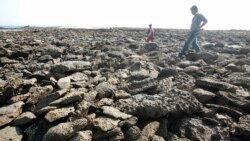 St Martin ကျွန်းကို မြန်မာပိုင်ဟုဖေါ်ပြမှု ဘင်္ဂလားဒေရှ့် ကန့်ကွက် St Martin ကျွန်းကို မြန်မာပိုင်ဟုဖေါ်ပြမှု ဘင်္ဂလားဒေရှ့် ကန့်ကွက်