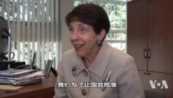 谢淑丽回忆中国入世辩论:我们夸大了中国入世对中国国内政治改革的好处 谢淑丽回忆中国入世辩论:我们夸大了中国入世对中国国内政治改革的好处