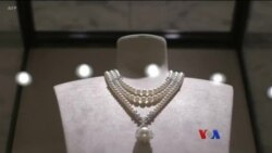 ဂျပန် မွေးပုလဲလုပ်ငန်း ဂျပန် မွေးပုလဲလုပ်ငန်း