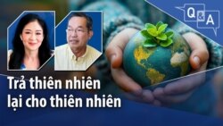 Trả thiên nhiên lại cho thiên nhiên Trả thiên nhiên lại cho thiên nhiên