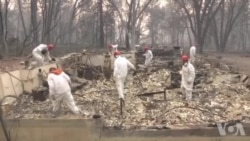 加州野火已经造成66人死亡 加州野火已经造成66人死亡