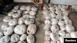 资料照:中国广东省当局在广州一个地下车库里抓获的一名走私贩子和残杀后被冰冻的穿山甲。(2014年9月11日)