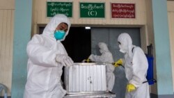 H1N1 ရာသီတုပ်ကွေးကြောင့် သေဆုံးသူ ၃၁ ဦး ရှိ H1N1 ရာသီတုပ်ကွေးကြောင့် သေဆုံးသူ ၃၁ ဦး ရှိ