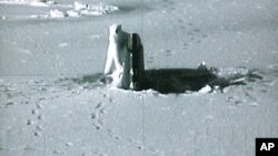 资料图片:视频截图显示北极熊在阿拉斯加的普拉德霍湾查看美国海军“康涅狄克”号核动力攻击潜艇的顶部。