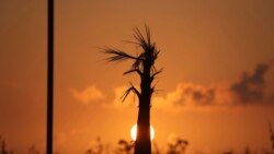 ဟာရီကိန်း Dorian ကနေဒါကို ဝင်ရောက် ဟာရီကိန်း Dorian ကနေဒါကို ဝင်ရောက်