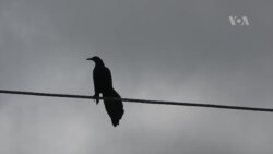 Chẳng lẽ Chúa tha thứ được còn người thì không thể? Chẳng lẽ Chúa tha thứ được còn người thì không thể?