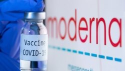 Moderna Biotech ကုမ္ပဏီထုတ် ကိုဗစ်ကာကွယ်ဆေး။ (နိုဝင်ဘာ ၁၈၊ ၂၀၂၀)