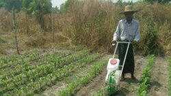 စက်မှုလယ်ယာ မိတ်ဆက် စက်မှုလယ်ယာ မိတ်ဆက်