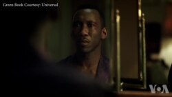 大千视界:2019奥斯卡更加多元化 大千视界:2019奥斯卡更加多元化