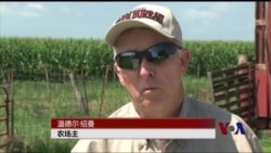 美国农场主欢迎TPP 美国农场主欢迎TPP